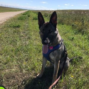 Meet your Posher, Christine